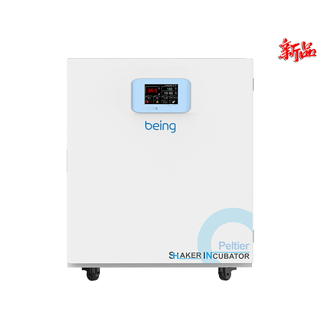 上海一恒BEC-250半導體制冷低溫培養箱